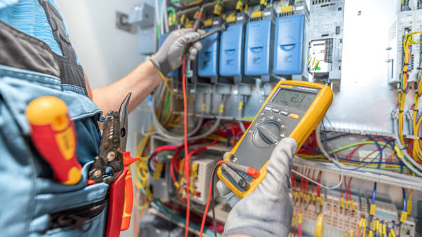 Best Electric Panel Repair  in Allendale, SC